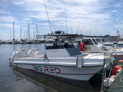 Furuno Sonar On A Ski Boat ?