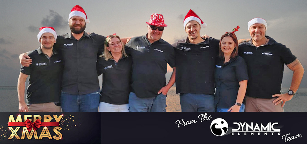 Merry Xmas from the Dynamic Elements Team